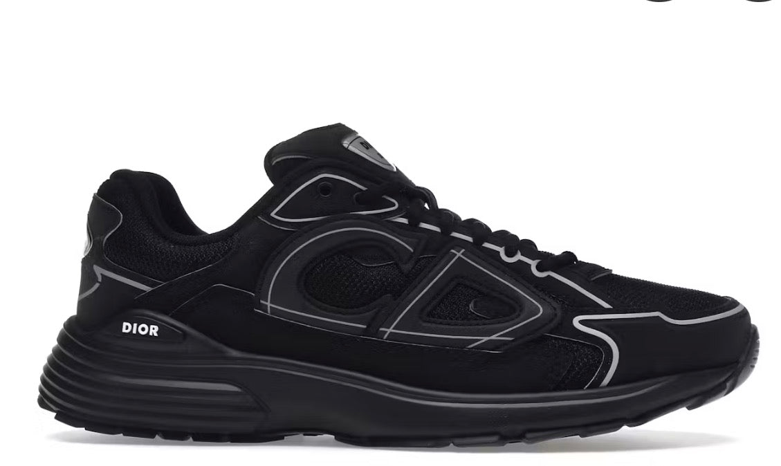 DIor b30 shoes