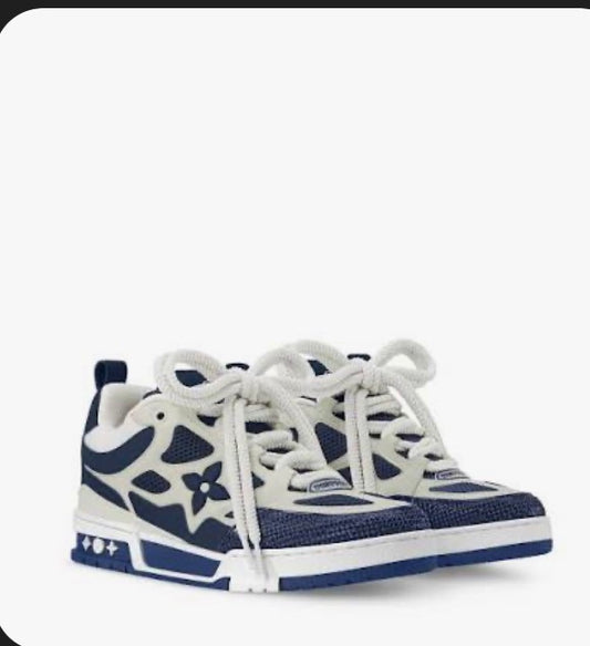 Louis Vuitton skates